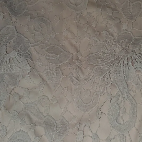 AX Paris lace front sheath dress - Picture 4 of 7